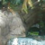 animalsmall