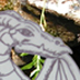 entancesmall