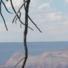viewsmall